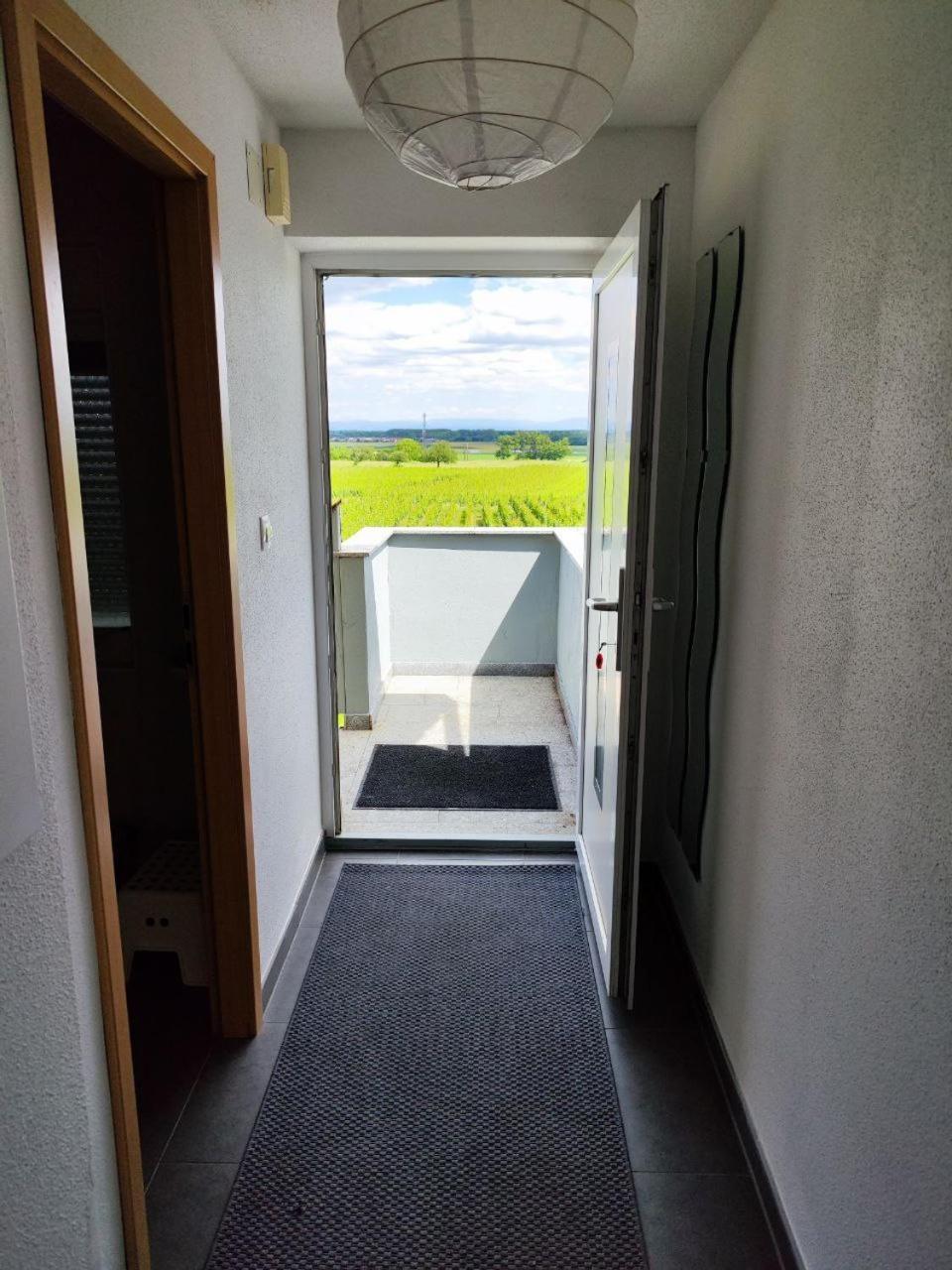 Bel Appartement En Centre Alsace Кенцайм Екстер'єр фото